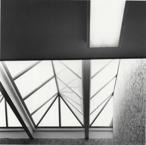 Desert Samaritan Hospital- skylights