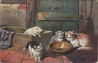 Postcard - Picture of Four Cats