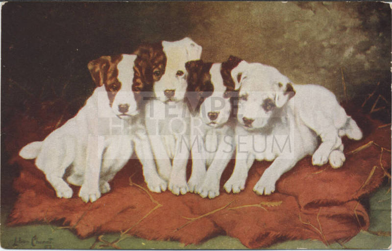 Postcard - Reproduction of "Four Dogs"