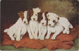 Postcard - Reproduction of "Four Dogs"
