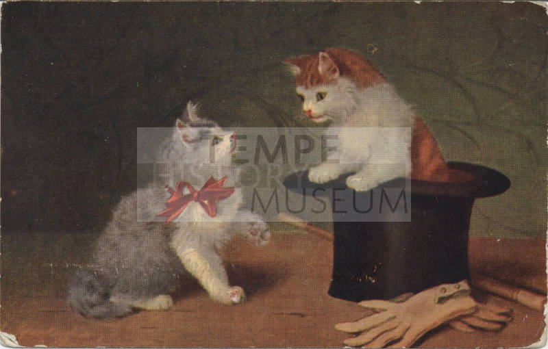 Postcard - Picture of Two Cats