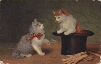 Postcard - Picture of Two Cats