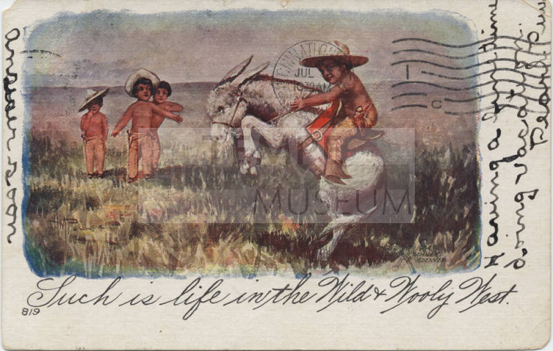 Postcard - "Such Is Life in the Wild & Wooly West"