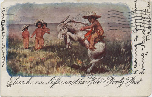 Postcard - "Such Is Life in the Wild & Wooly West"
