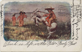 Postcard - "Such Is Life in the Wild & Wooly West"