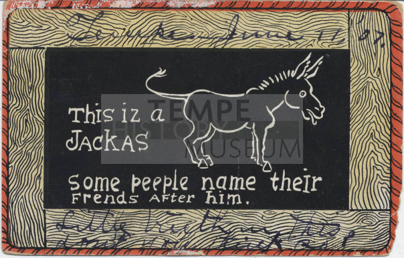 Postcard - "This Iz a Jackas"