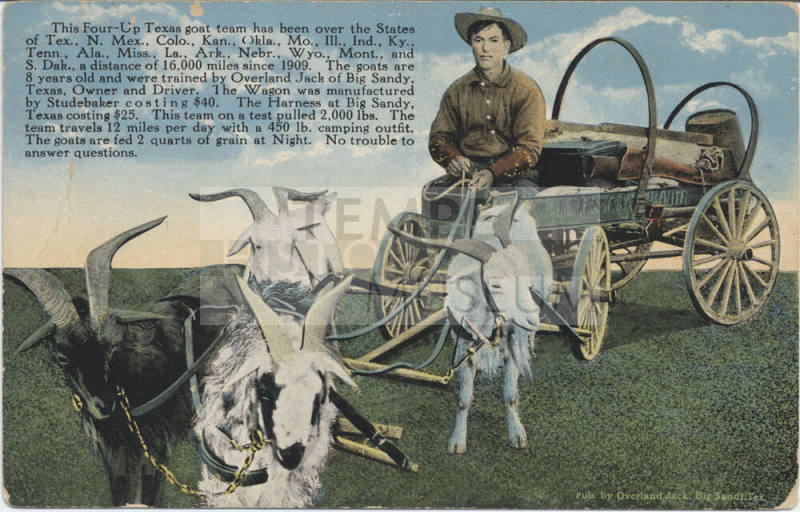 Overland Jack
