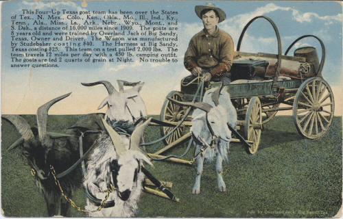 Overland Jack