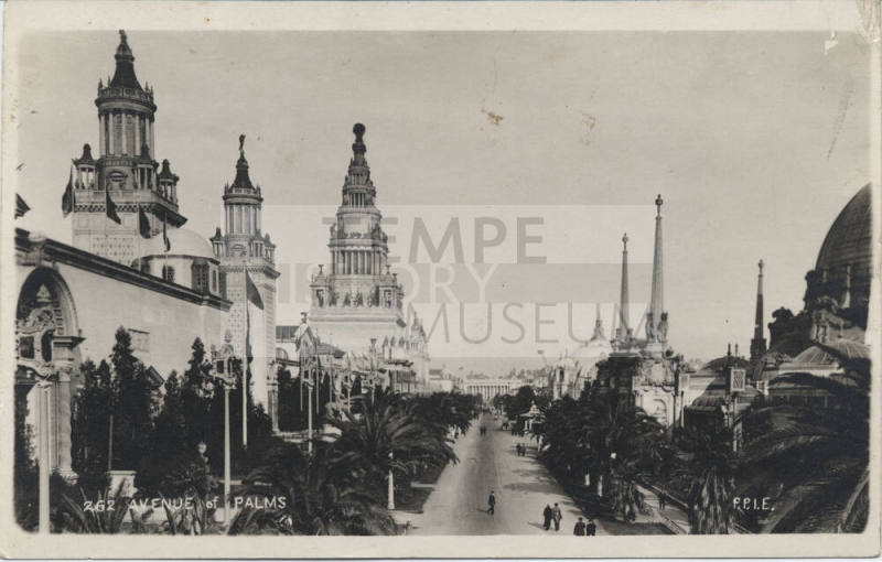 Postcard - "Avenue of Palms" P.P.I.E.