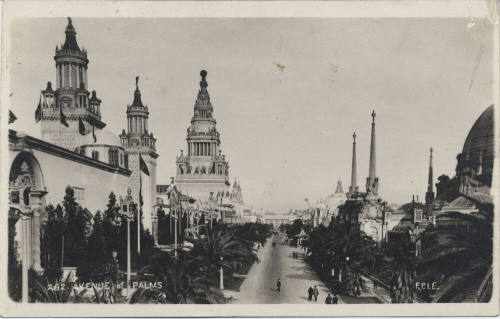 Postcard - "Avenue of Palms" P.P.I.E.