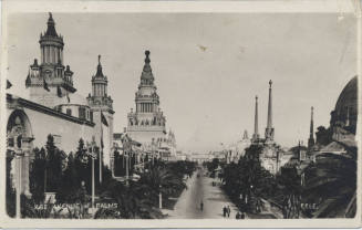 Postcard - "Avenue of Palms" P.P.I.E.