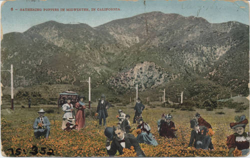 Postcard - Gathering Poppies in California