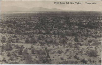 Postcard - Desert Scene, Salt River Valley
