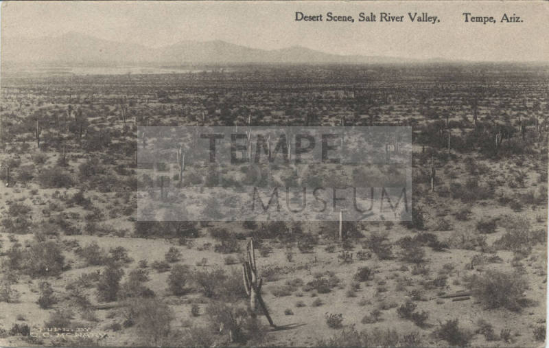 Postcard - Desert Scene, Salt River Valley