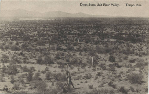 Postcard - Desert Scene, Salt River Valley