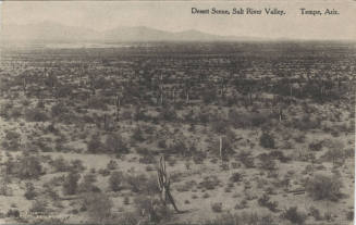Postcard - Desert Scene, Salt River Valley