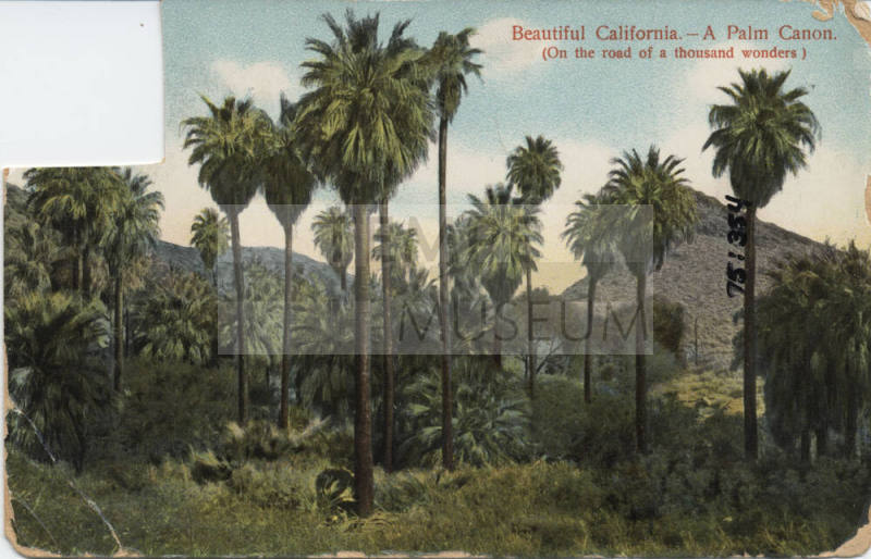 Postcard - "Beautiful California"