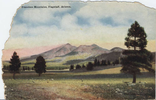 Postcard - San Francisco Mountains, Flagstaff, Arizona