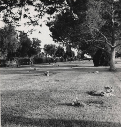 Vandalism at Double Buttes Cemetery