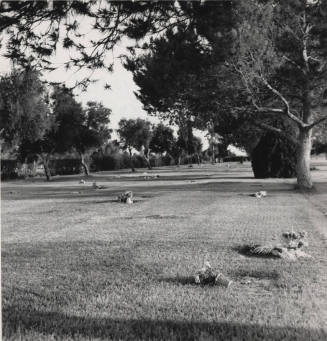 Vandalism at Double Buttes Cemetery
