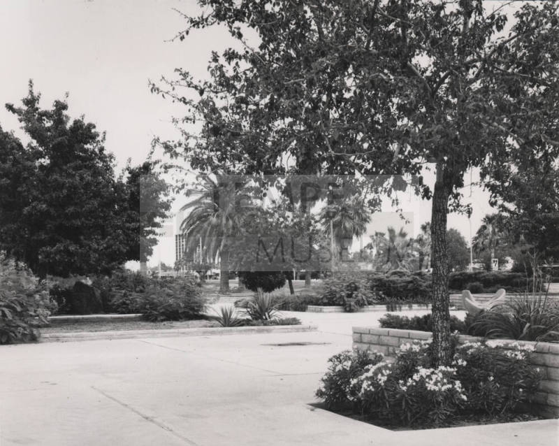 Birchett Park - A Place To Pause