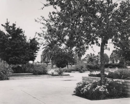 Birchett Park - A Place To Pause
