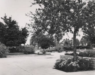 Birchett Park - A Place To Pause