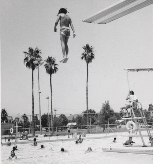 Terrie Stahl