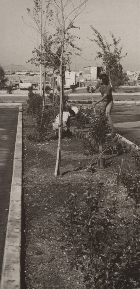 Landscape Gardeners During Construction of Kiwanis Park