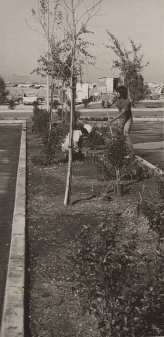 Landscape Gardeners During Construction of Kiwanis Park