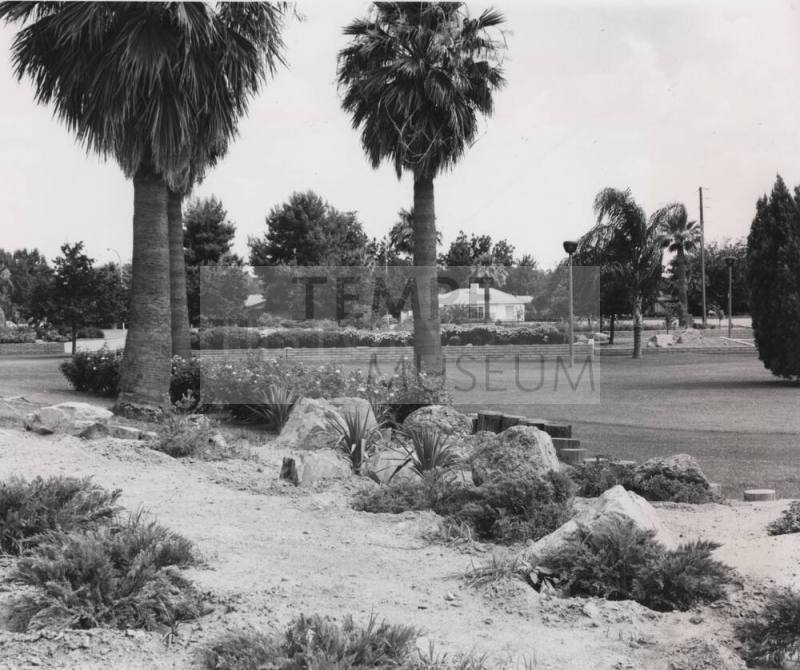 Park Photo