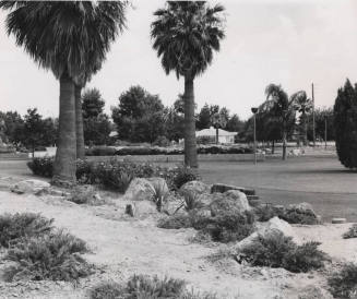 Park Photo