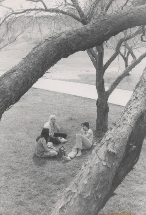 Group Relaxing on the Grass