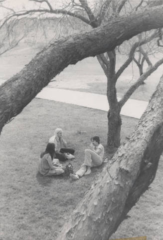 Group Relaxing on the Grass