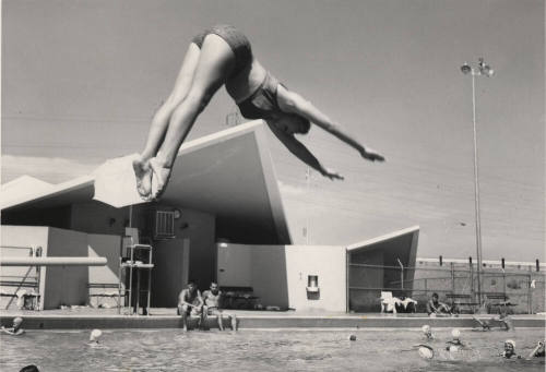 Diver in Mid Air - Tempe Beach Park Pool