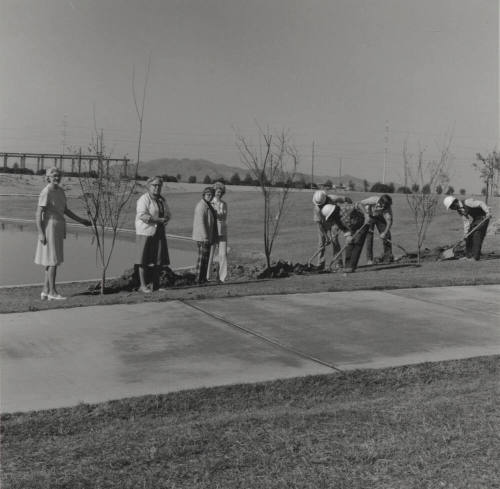 Tempe Garden Club tree planting in Kiwanis Park