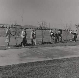 Tempe Garden Club tree planting in Kiwanis Park