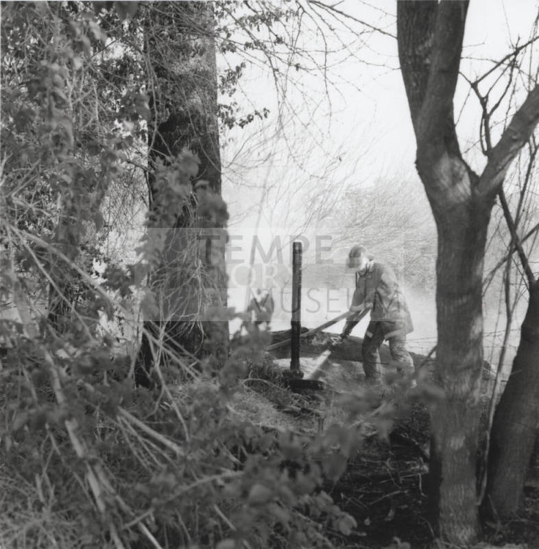 Picture from a brush and tree fire