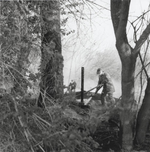 Picture from a brush and tree fire