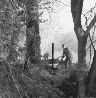 Picture from a brush and tree fire