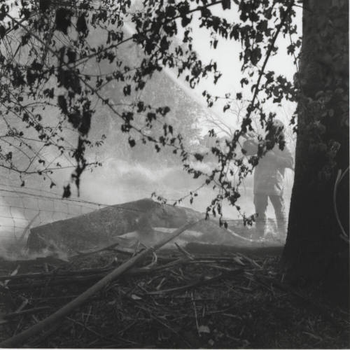 Brush and tree fire