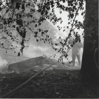 Brush and tree fire