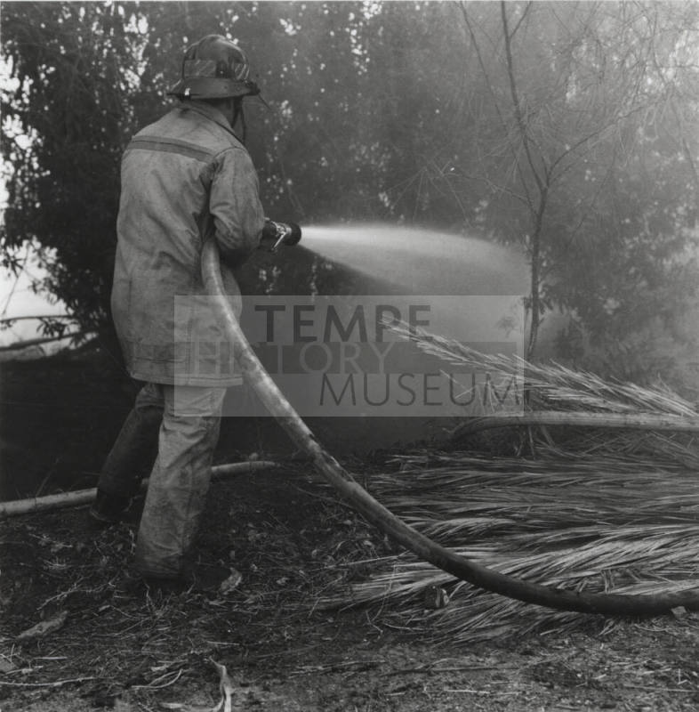 Brush and tree fire