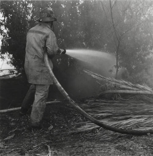 Brush and tree fire