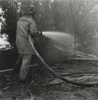 Brush and tree fire