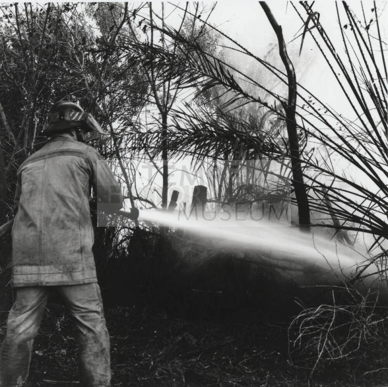 Firefighter at a Brush and Tree Fire