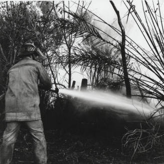 Firefighter at a Brush and Tree Fire