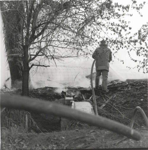 Firefighter at a Brush and Tree Fire