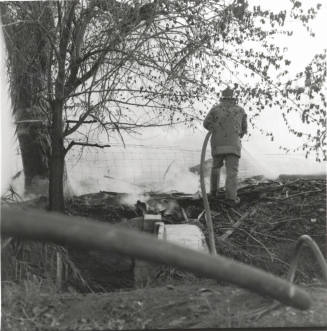 Firefighter at a Brush and Tree Fire
