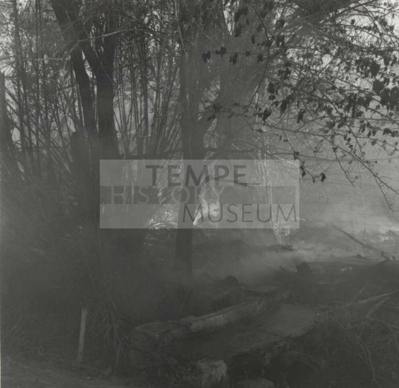 Brush and tree fire